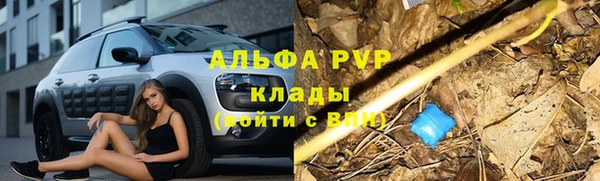 шишки Михайлов