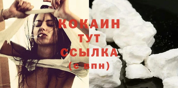 шишки Михайлов