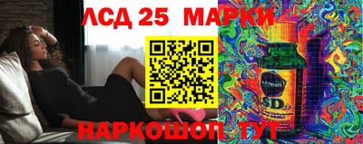 бошки Гатчина