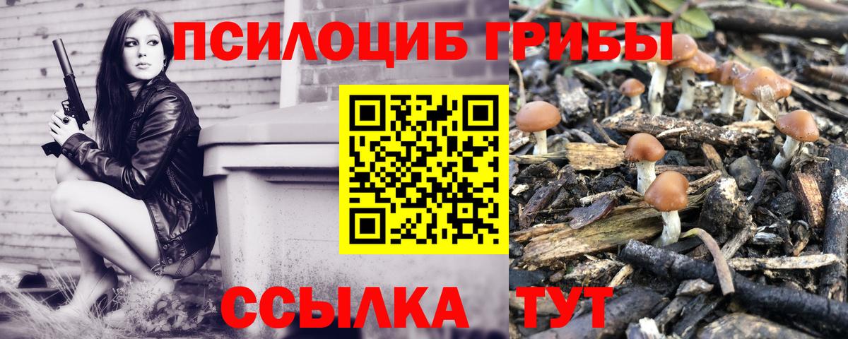 Галлюциногенные грибы Psilocybine cubensis  Галлюциногенные грибы Psilocybe  Камышлов 