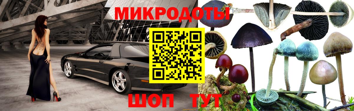 Галлюциногенные грибы мухоморы Камышлов