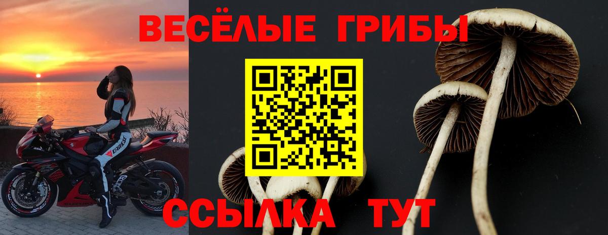 Псилоцибиновые грибы MAGIC MUSHROOMS  Вход с VPN  Камышлов 